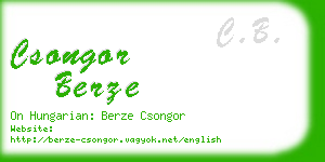 csongor berze business card